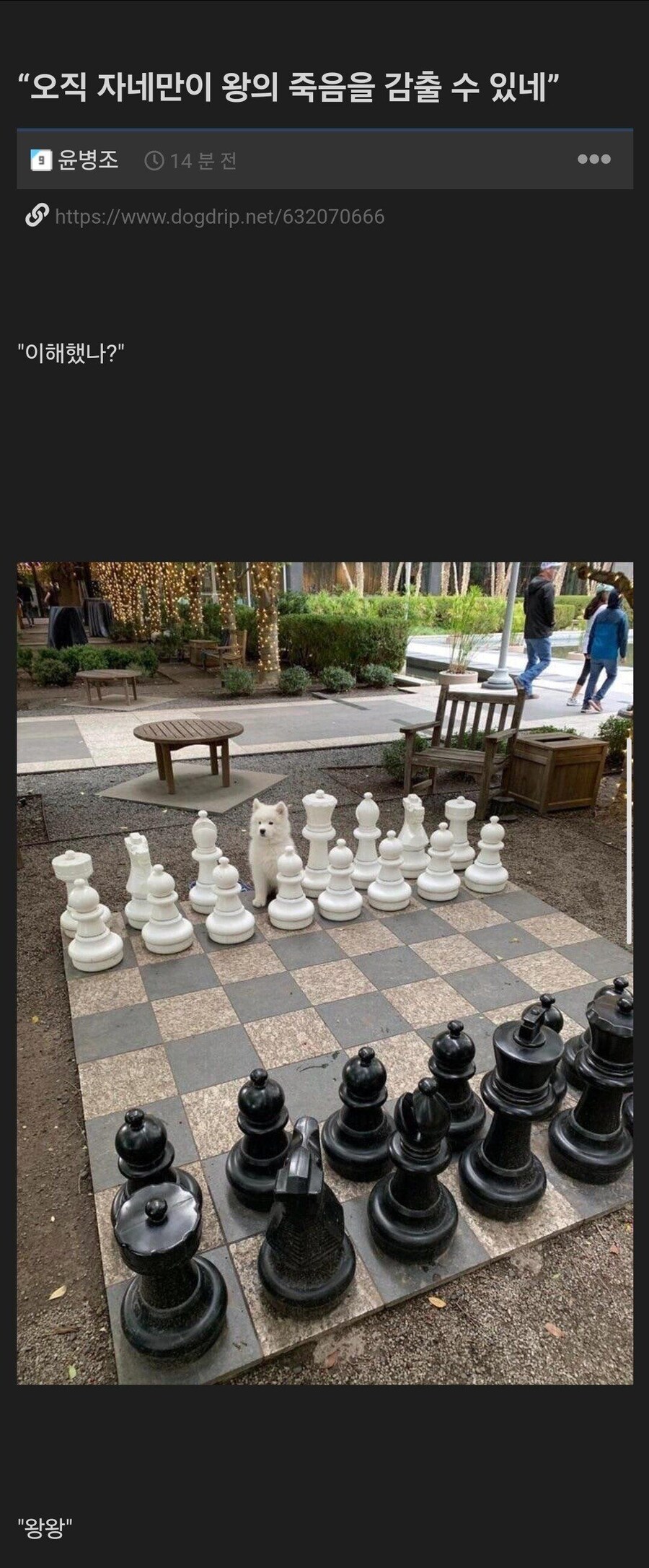 광대놈 주제에 어디 이나라 왕이 되보거라_1.jpg