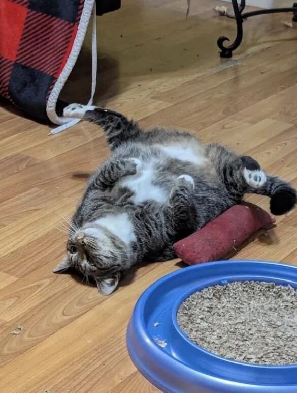 아니 쩍벌을 해도 좀 너무하네 ᆢ.jpg_1.jpg