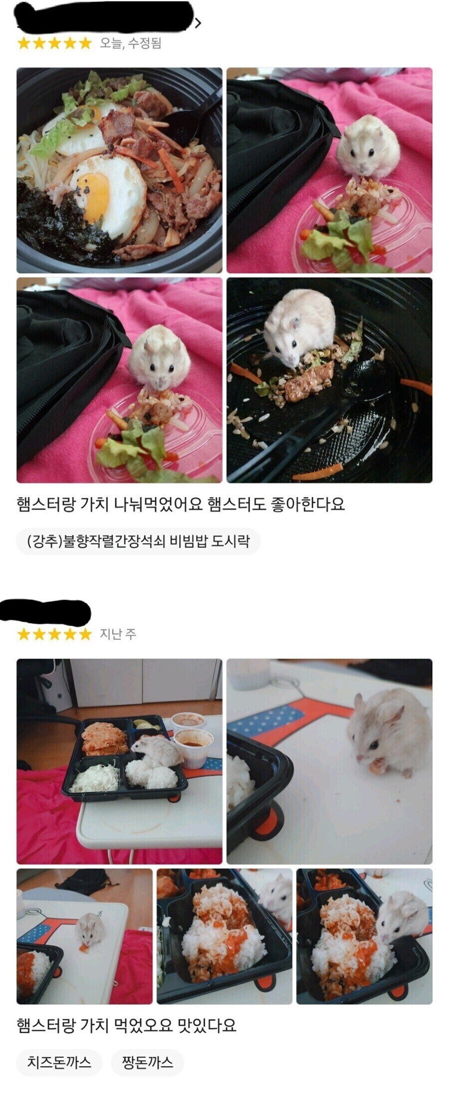 햄스터의 배달 리뷰.jpg_1.jpg