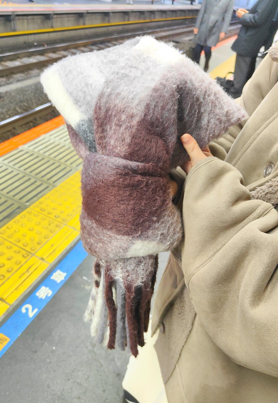 겨울 오징어_1.jpg