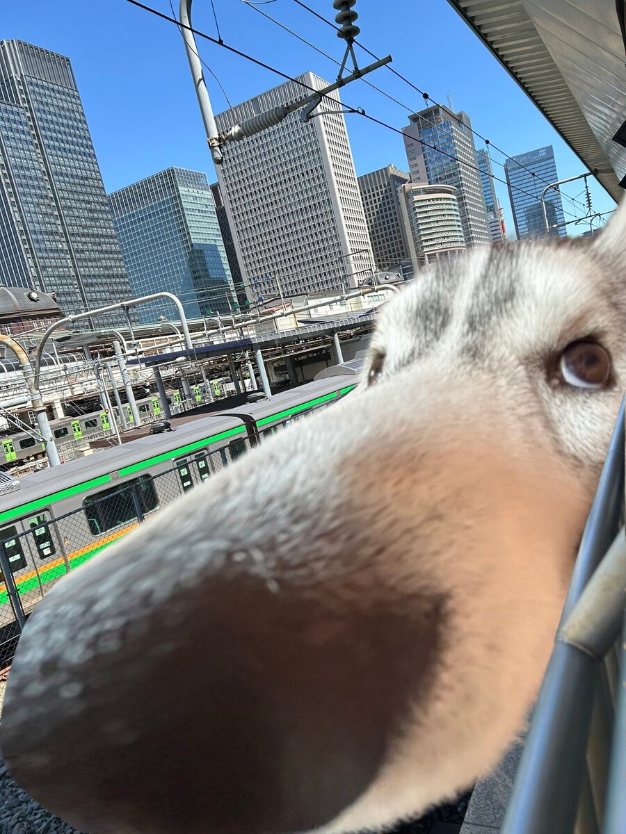 렛 미 고잉 뽈유_1.jpg