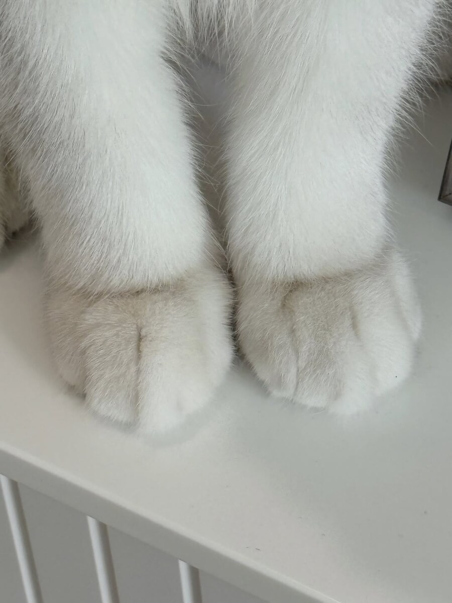 고양이 앞발 모음..._6.jpg