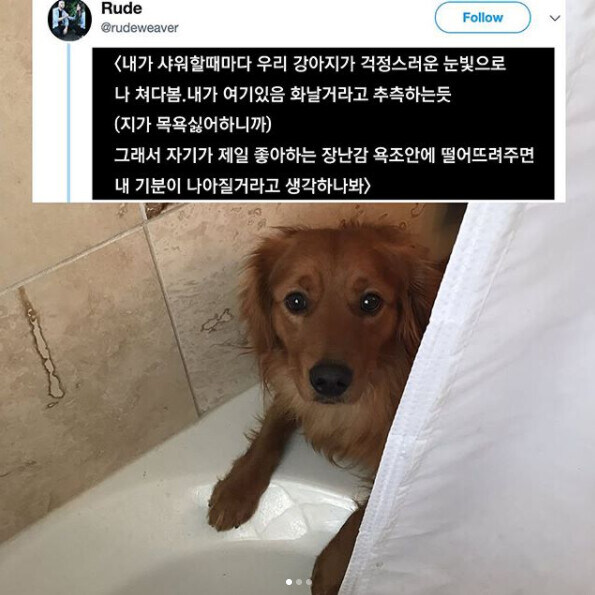쭈인이 씻을때마다 걱정하는 멍멍이.jpg_1.jpg