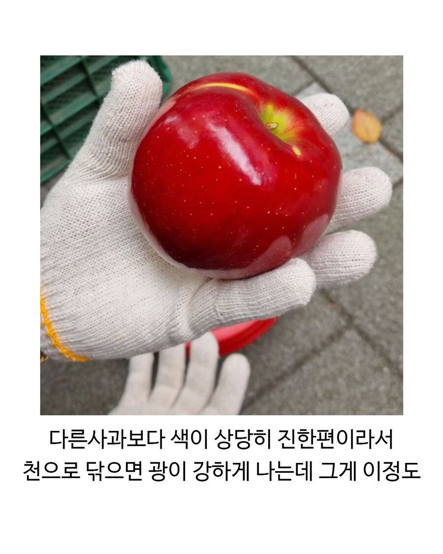 독사과를 먹은 백설공주가 이해되는 사진.jpg_2.jpg