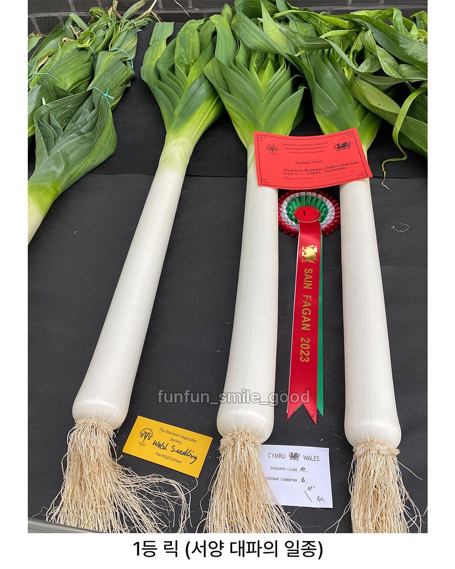 예쁜 야채 대회 수상작들.jpg_5.jpg