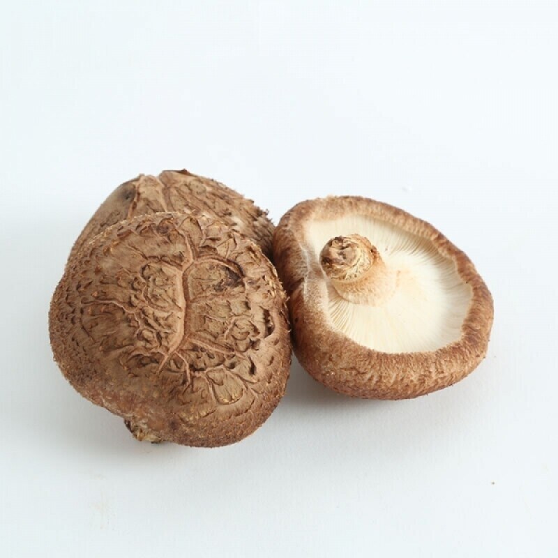 새송이 버섯보다 송이버섯 맛이랑 비슷한 버섯_1.png