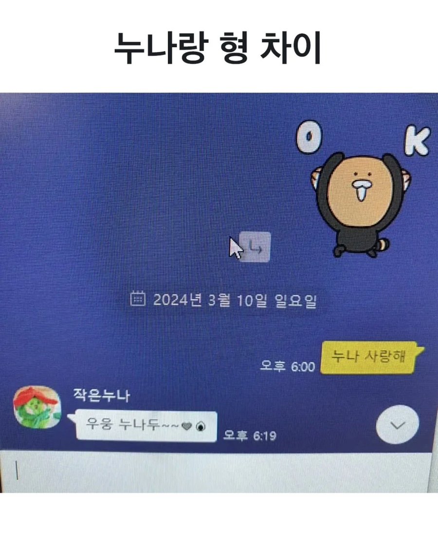 누나와 형의 차이_1.webp