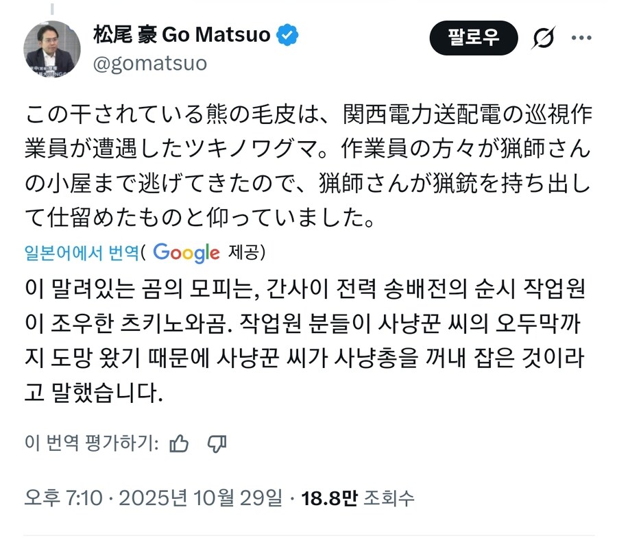 일본의 산기슭에서 만난 곰가죽_2.jpg