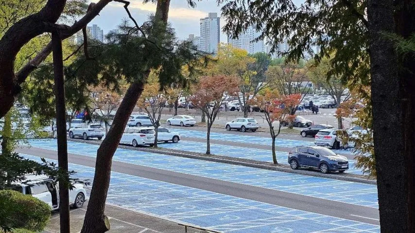 서울대공원 주차장, 무개념 주차 모습_1.webp