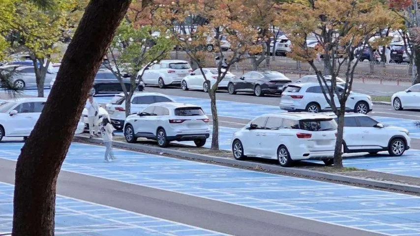 서울대공원 주차장, 무개념 주차 모습_3.webp