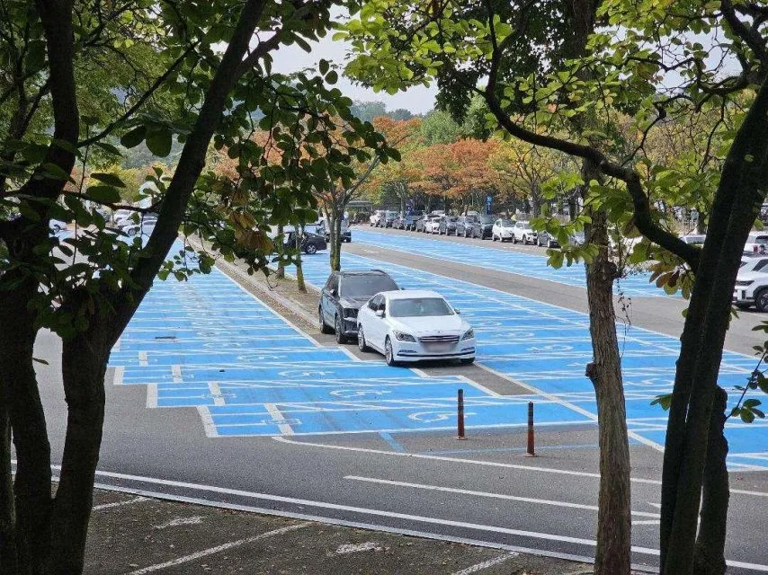 서울대공원 주차장, 무개념 주차 모습_4.webp