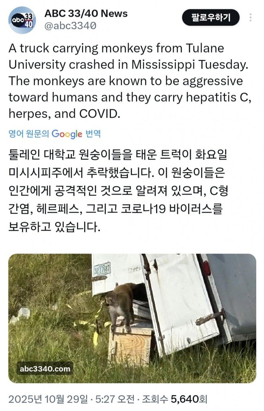 탈출한 원숭이들이 인간에 적대적이었던 이유_1.jpg