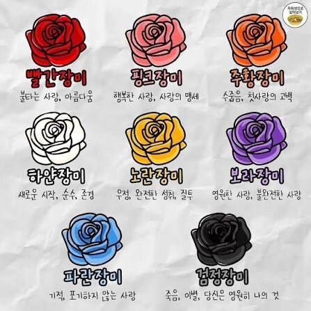카제나) 이제는 말할수있게된 검은장미의 꽃말_1.jpg