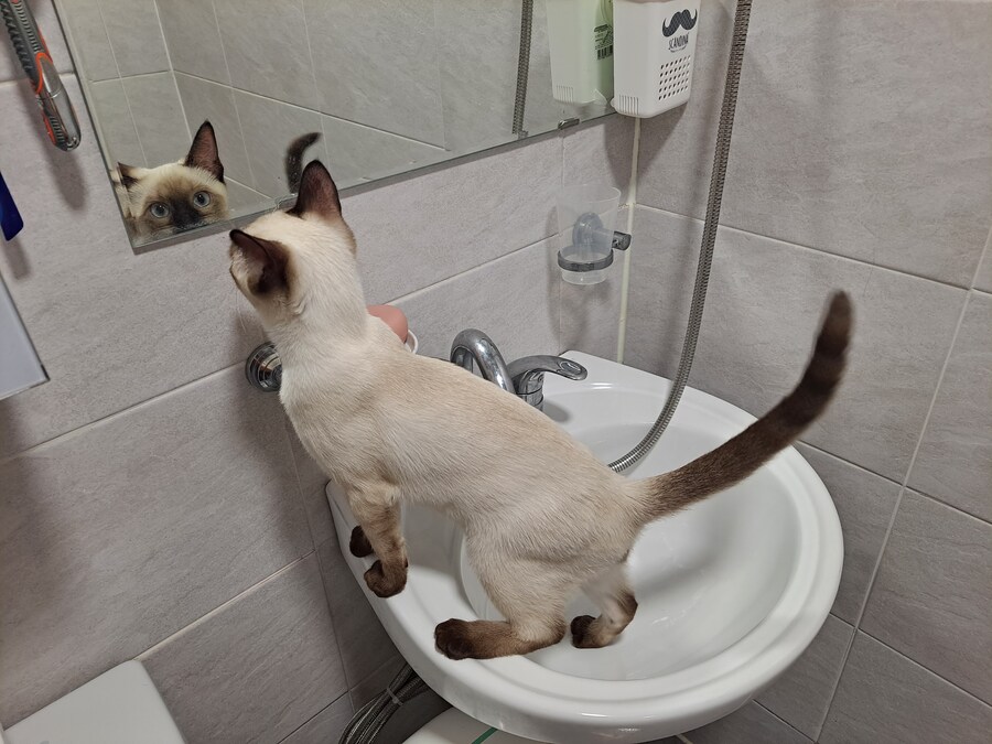 무식해서 용감했던 시절의 아깽이..._4.jpg