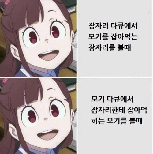 다큐별 감정이입.jpg_2.jpg