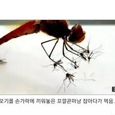 다큐별 감정이입.jpg_3.jpg