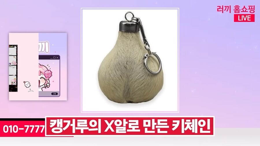 캥거루가 성질이 더러운 이유_5.jpg