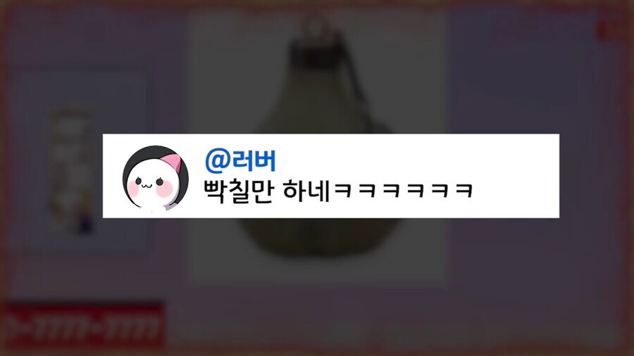 캥거루가 성질이 더러운 이유_7.jpg