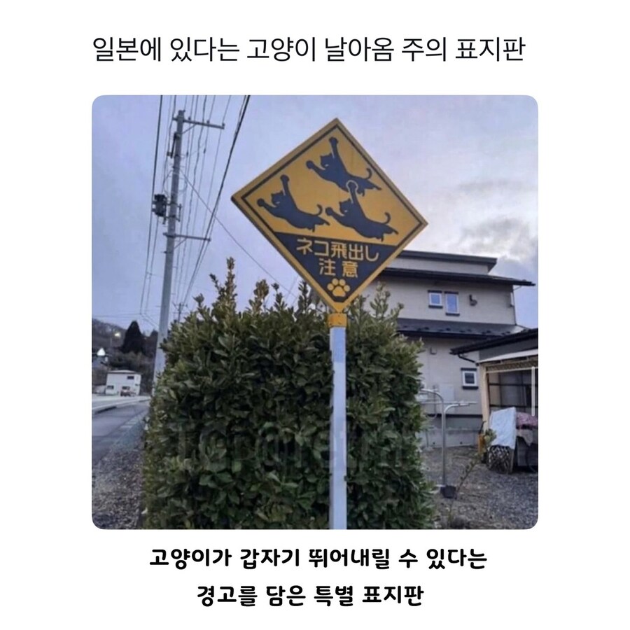 일본 어느 안전 표지판_1.jpg