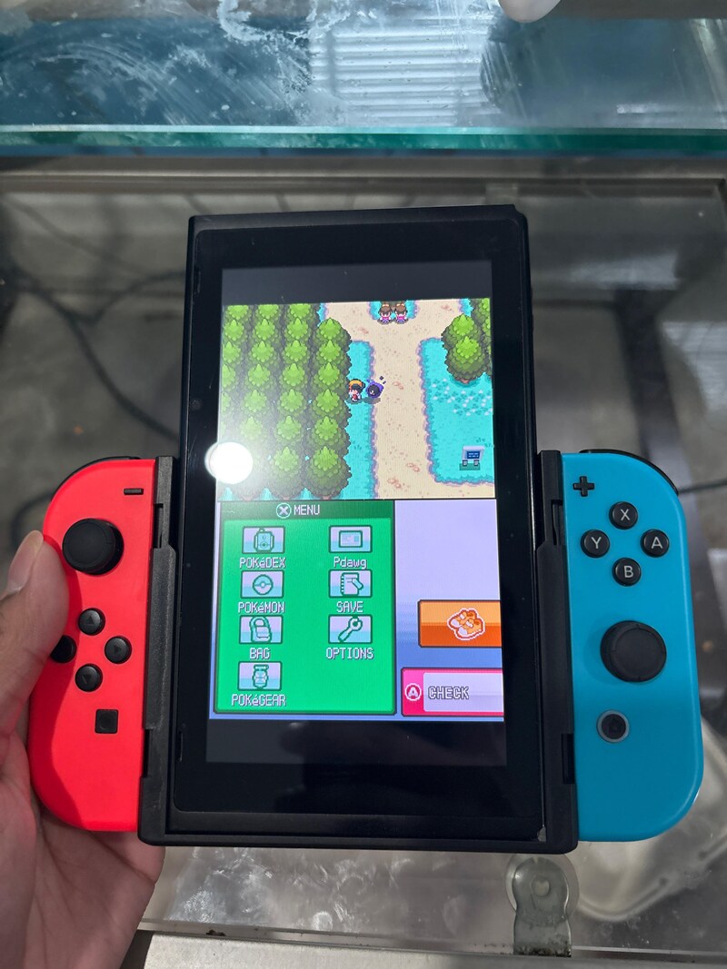 신형 닌텐도 DS를 자랑하는 사람_1.png