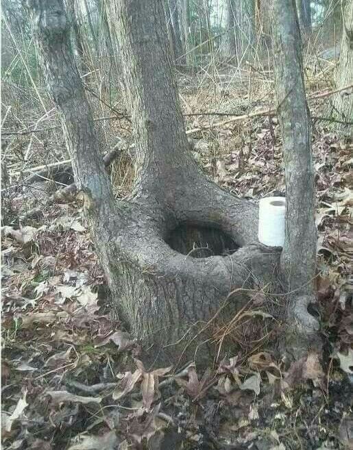 친환경 화장실_1.jpg