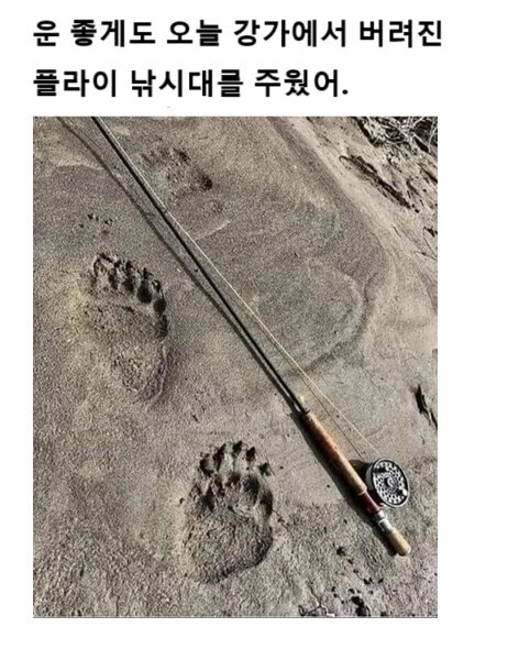 강가에서 버려진 낚시대를 주웠다._1.png