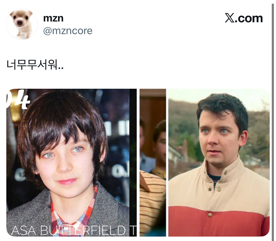 역변 평차가 가장 큰 서양 남자애들.jpg_2.jpg