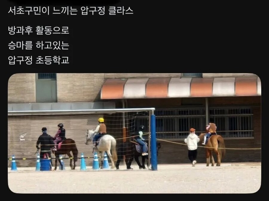 서초구민이 벽 느끼는 압구정 클라스.jpg_1.jpg