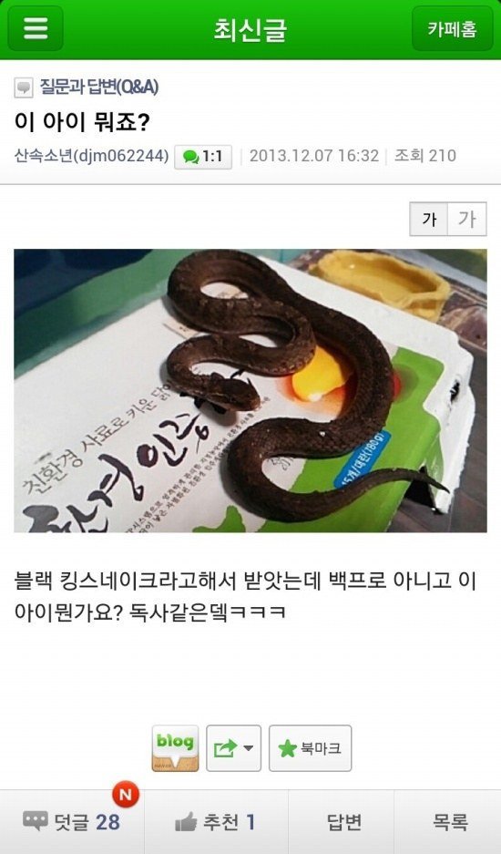 4d5e686dc45b933a8c92501317a35cac.jpg 애완용 뱀 구매했는데 독사 받은 사건 ㄷㄷ