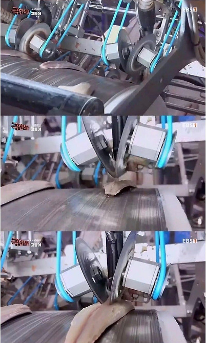 노르웨이에서 고등어 가시를 발라내는 방법.JPG