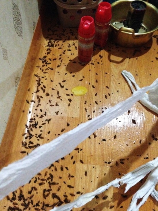 공포) 고시원 괴담_3.jpg