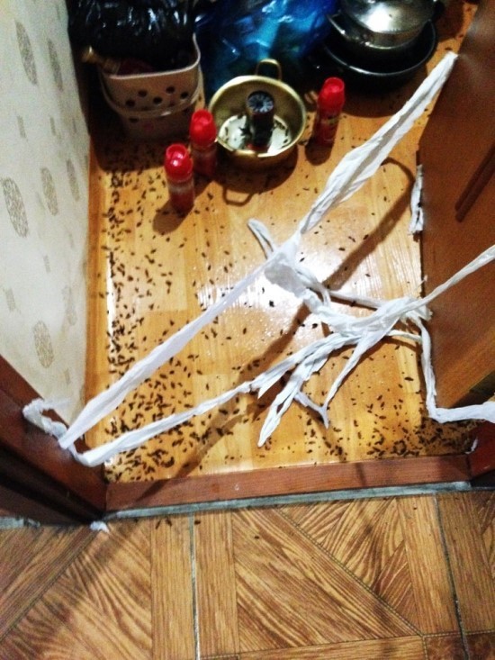 공포) 고시원 괴담_4.jpg