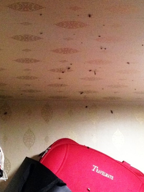 공포) 고시원 괴담_2.jpg