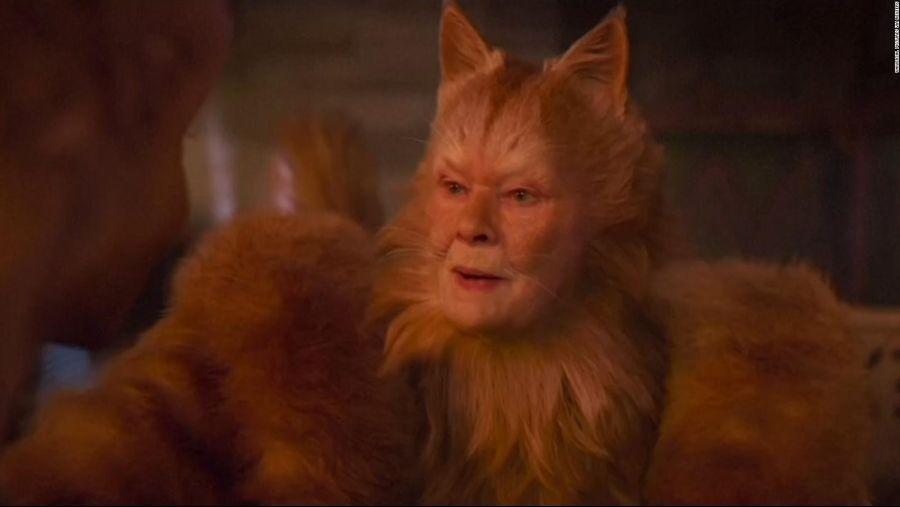 고양이 사진은 10장 올려야만 된다는 소문이 있던데_2.jpg