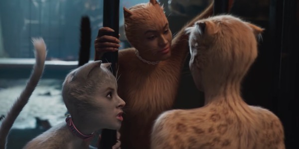 고양이 사진은 10장 올려야만 된다는 소문이 있던데_4.jpg