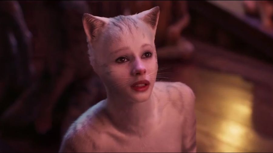 고양이 사진은 10장 올려야만 된다는 소문이 있던데_5.jpeg