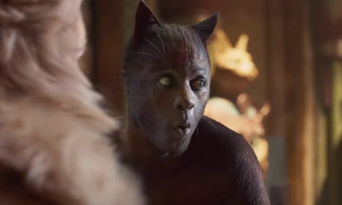 고양이 사진은 10장 올려야만 된다는 소문이 있던데_8.jpg