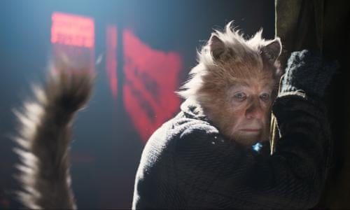 고양이 사진은 10장 올려야만 된다는 소문이 있던데_10.jpg