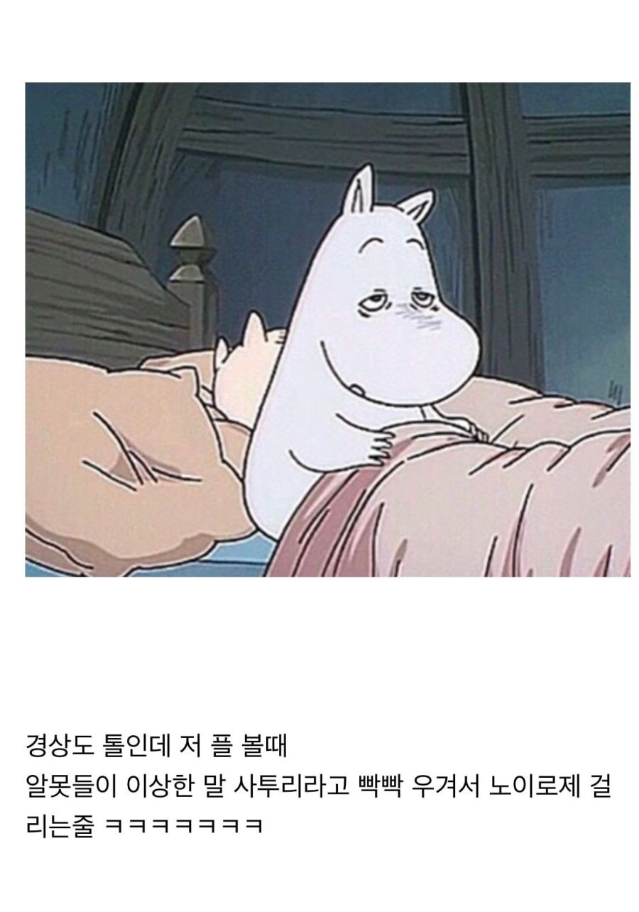 안녕하노가 경상도 사투리라고 우길 때.jpg_8.jpg