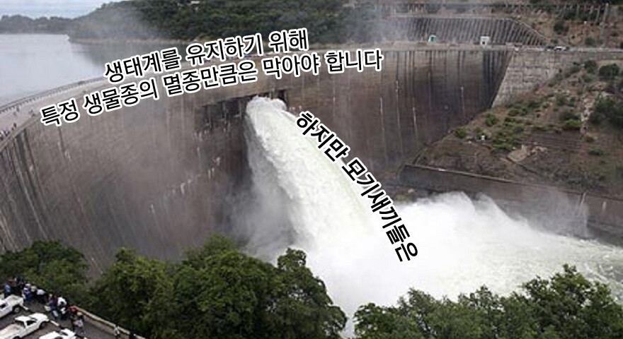 생태학자들의 신념을 시험에 들게 하는 동물.jpg_3.png