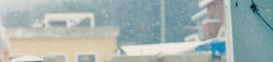 80년대 중후반 일상적인 사진들.JPG_42.png