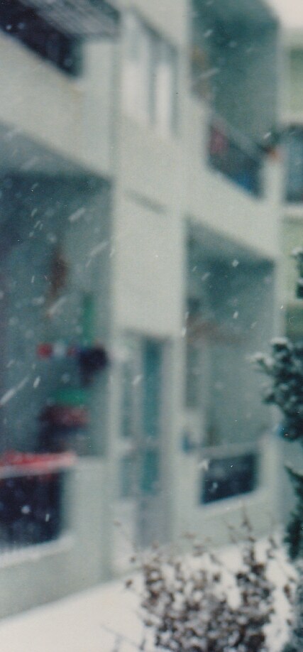 80년대 중후반 일상적인 사진들.JPG_43.png