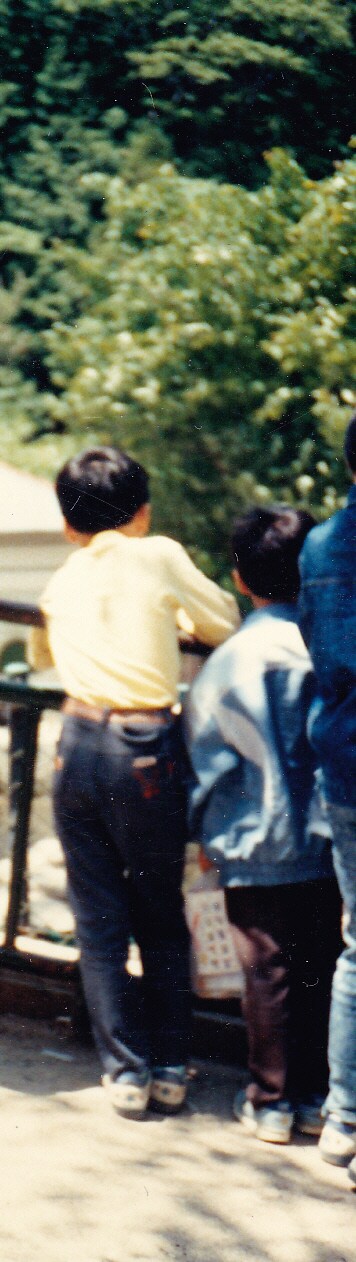 80년대 중후반 일상적인 사진들.JPG_47.png