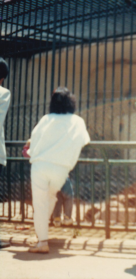 80년대 중후반 일상적인 사진들.JPG_50.png