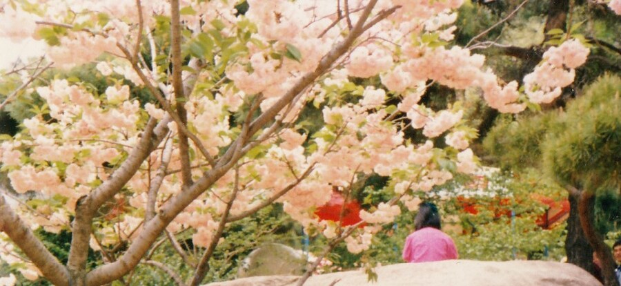 80년대 중후반 일상적인 사진들.JPG_58.png