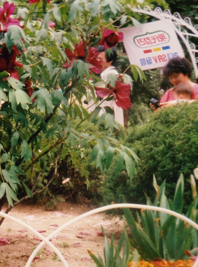 80년대 중후반 일상적인 사진들.JPG_59.png