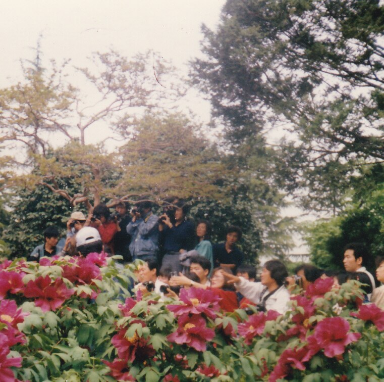 80년대 중후반 일상적인 사진들.JPG_25.png