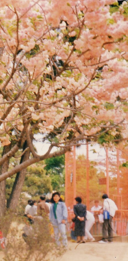 80년대 중후반 일상적인 사진들.JPG_27.png