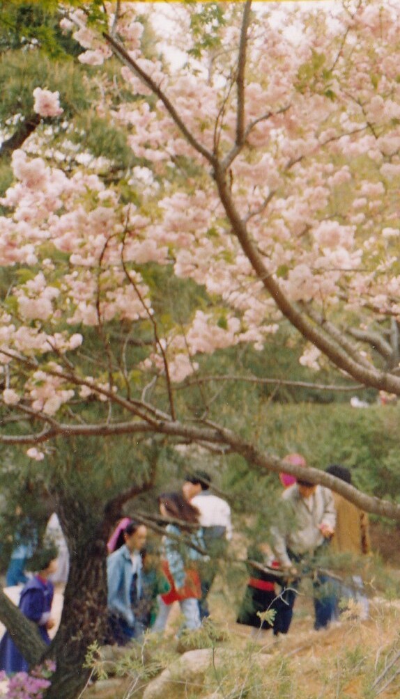 80년대 중후반 일상적인 사진들.JPG_36.png