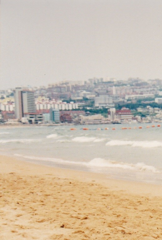 80년대 중후반 일상적인 사진들.JPG_8.png